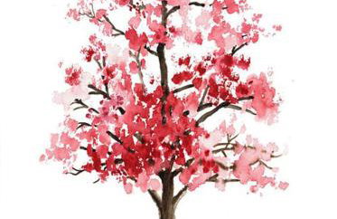 Pavliani House - Foto 2