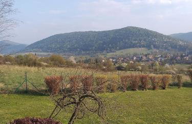 Dom letniskowy Uście Gorlickie - Foto 18