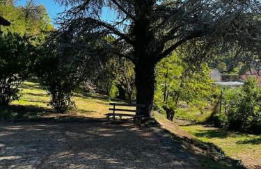 Beautiful stone house with garden - Villa il Poggio - Foto 31