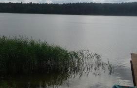 Agroturystyka Düsselkamp Tumiany - Foto 9