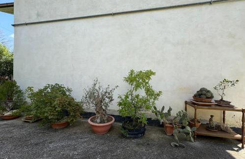 Casa in campagna a Rosciano - Foto 54