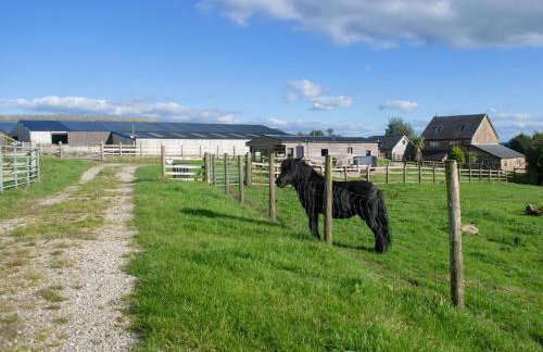 Shepherds Hut - Uk50043 - Foto 14