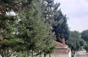 Country destination in mountainous Trikala! - Photo 27