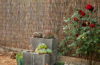 Orange Blossom Apartment - Foto 34