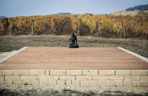 Historic Estate With Private Spa In Monferrato - Foto 29