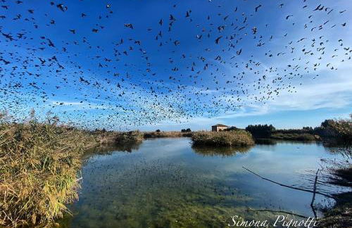 SelvaGiurata farmhouse villa - Foto 33