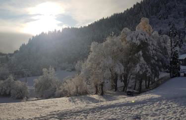Olydea les Bottieres - Saint-Pancrace - Foto 34