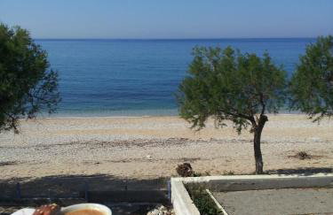 Pano sto Kyma Studios - Foto 20