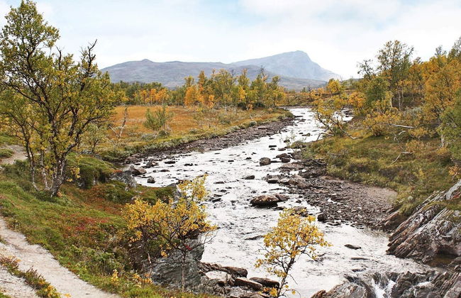 6 Person Holiday Home in Rennebu-by Traum - Foto 31