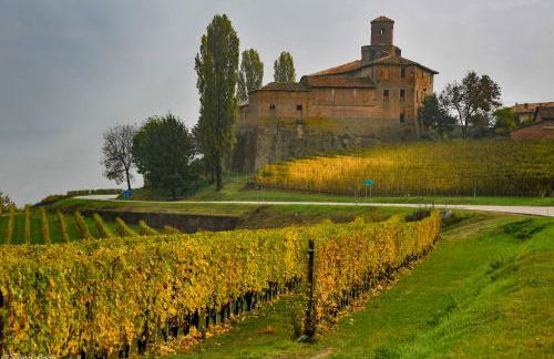 Tomati's House - Foto 39