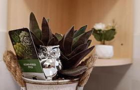 ChanzerHouse - Foto 6