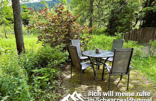 Schwarzwaldhimmel - Foto 19