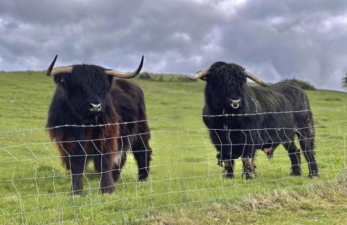 Parlour Barn - Photo 67