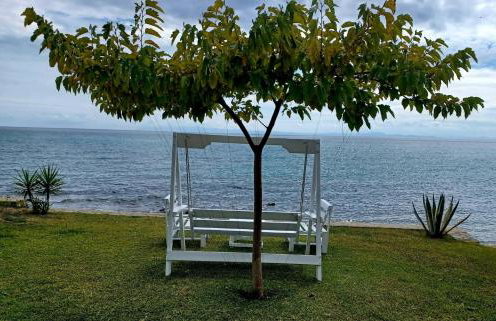 Blue and white - Foto 25