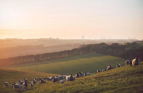 Castle Cottage, Press Mains Farm Cottages - Foto 23