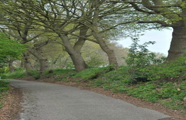 Villa in Bergen op Zoom With Luxury Interiors - Foto 27