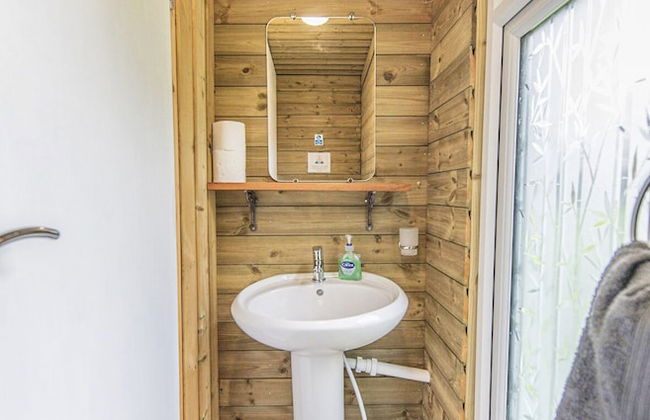 Dartmoor Reach Alpaca Farm - Foto 12