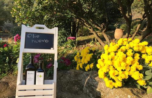 Le Terre Di Isa - Photo 10