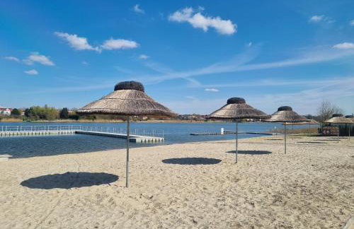 Arboretum Apartments Kórnik - Foto 8