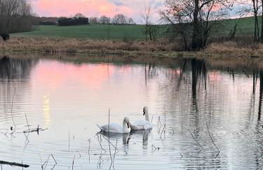 Neu möbliertes 1 - Zimmerapartment mitten in der Natur - Foto 8