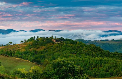 Agriturismo Il Beccafico Alpaca - Foto 30