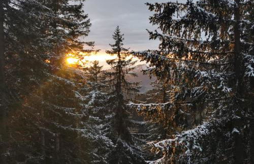 Studio rénové Portes du Soleil Chatel Abondance - Foto 10