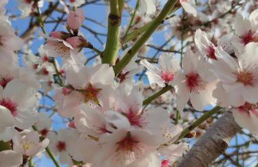 Casa Banana Sunset - Foto 21