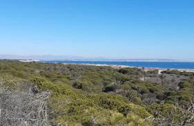 Bonito piso al lado del Mar! - Foto 19