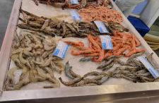 Praia da Rocha Summer Beach Sea View - Foto 39