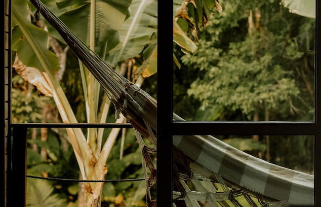 Surfway Ilha do Mel - Photo 68