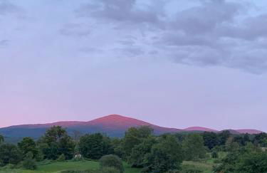 The Disco Den on Toad Road - Photo 35