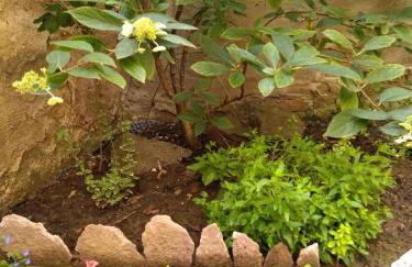 Schmal & Hoch - Willkommen im schmalsten Haus von Bad Frankenhausen - Photo 27