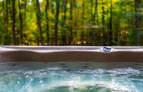 Luxury ADK Retreat Near Whiteface, Lake Placid - Foto 2