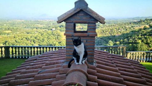 Casa Anna Maria - Foto 2