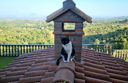 Casa Anna Maria - Foto 2