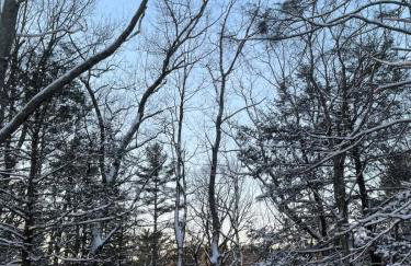 Woodside Cabin in Delaware Water Gap - Foto 43