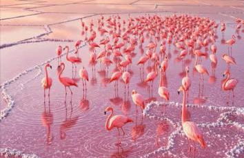 Casa Vacanza 6 posti letto - Grazia Home - Foto 32