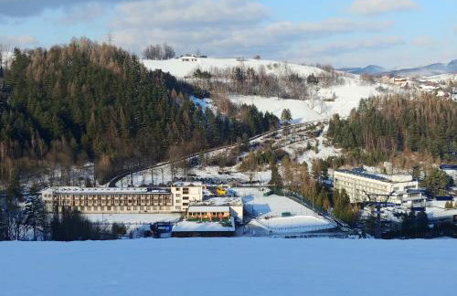 Chwile w Starym Sączu, sauna i beczka - Foto 28
