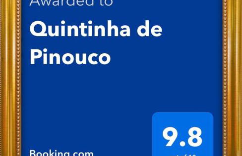 Quintinha de Pinouco - Foto 56