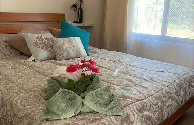 Morning Glory - Foto 13