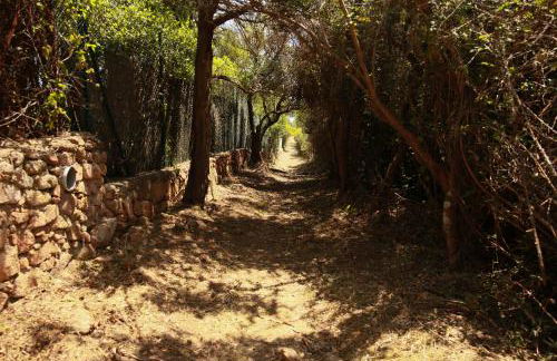 Le Berceau d'Asciaghju Palombaggia - Accès plage et Piscine privée - Foto 20