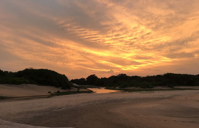 Surf N Sun - Foto 29