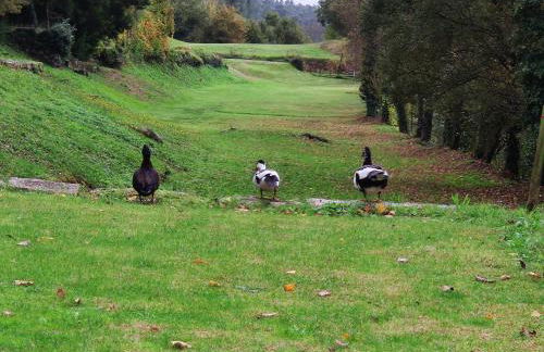 Rilhadas Casas de Campo - Foto 55
