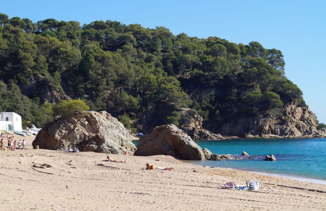 107523 - House in Cala Canyelles - Foto 20