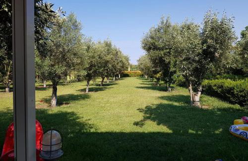 Gaia Studios & Apartments - Foto 13