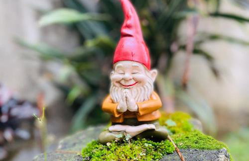 Vale Vijaya bem estar em meio à natureza - Foto 33