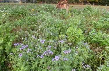 Artlandscheune 1719 - Foto 27