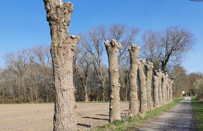 Holiday Home in Holeby - Foto 21