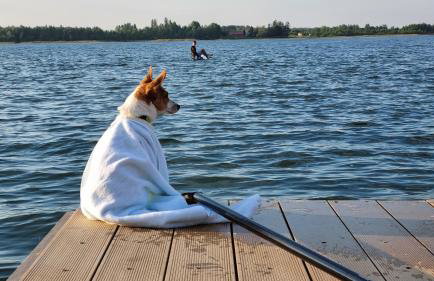 Stacja Mazury(Masuria Station) - Foto 49