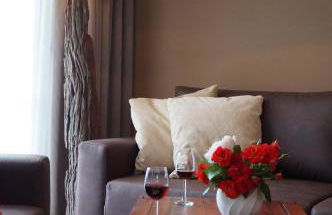 Premium Apartments - Foto 8